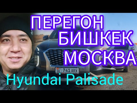 Жолдо казак гаилери токтотуп, мен видеого тартып.