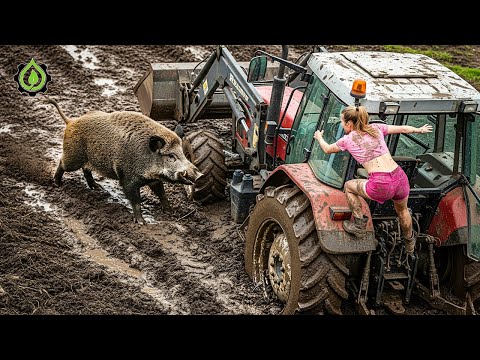 Extreme Tractor Stuck In Mud Compilation | Amazing Tractor Operator Skills #6