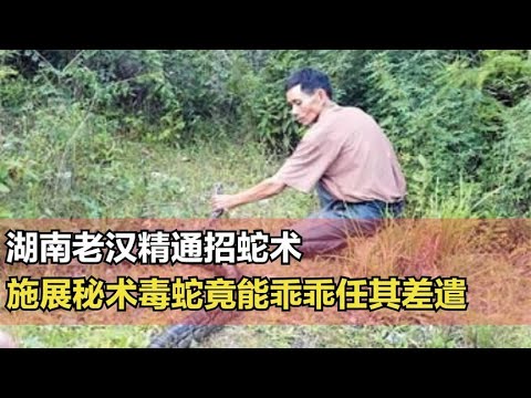 An elderly man from Hunan is skilled in snake-summoning techniques, able to summon venomous snake...