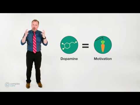 Addiction Neuroscience 101