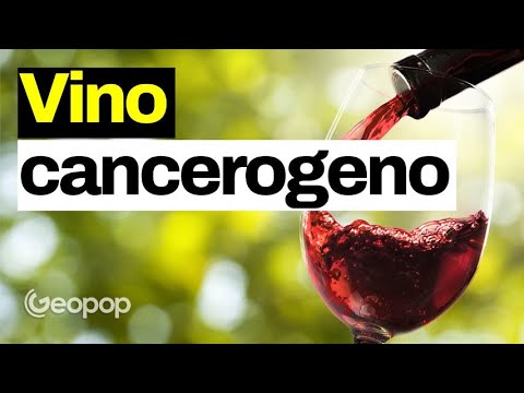 Siamo sicuri che bere vino rosso faccia bene alla nostra salute? Facciamo chiarezza