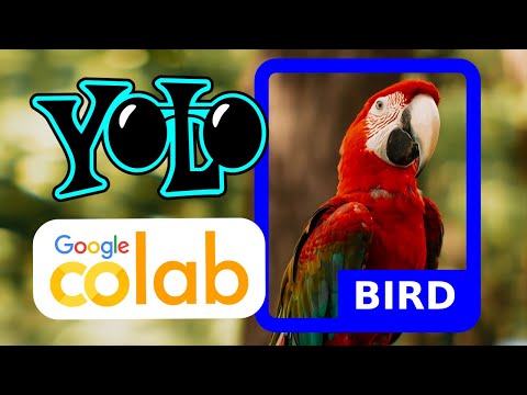 Train Yolov8 custom dataset on Google Colab | Object detection | Computer vision tutorial