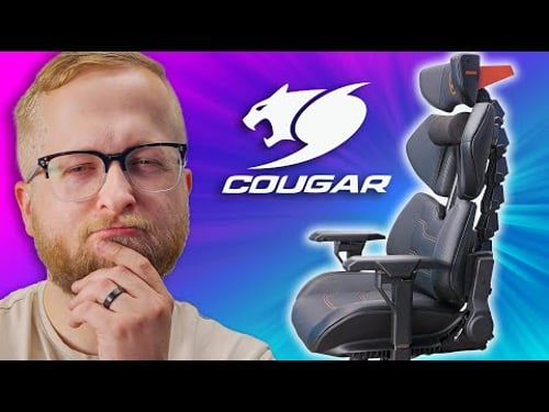 This Chair Has a Spine - Cougar Terminator Chair