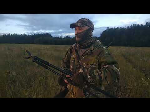 Hunting for a male roe deer with a decoy, during the rut. #roe deer#buck#ruttingroe deer#decoy#hu...