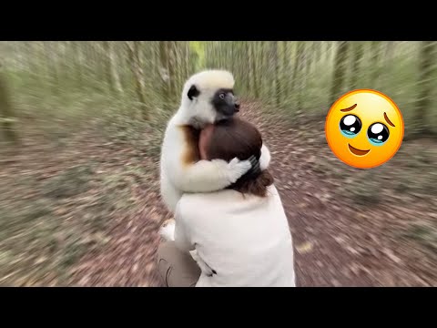 Animals Find Each Other Again… Pure Emotion Caught on Camera