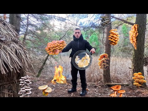 ГРИБНИЙ КЛОНДАЙК У ГРУДНІ! Готую Фламуліну на вогні🍄🟫🔥