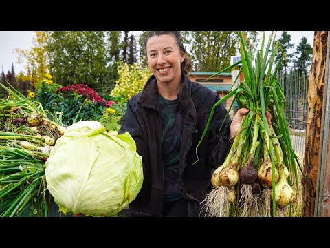 Preserving our Food for Winter | Fall Vegetable Garden Harvest