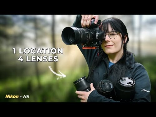 1 Woodland, 4 Lenses - A Seeing Exercise in Photography