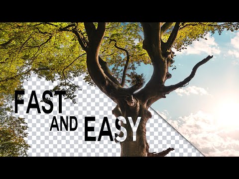 Two INCREDIBLE Photoshop Techniques To Cut Out Images - Difficult Selections Made EASY!