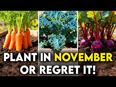 30 Crops You Should Plant in November for HUGE Harvests!