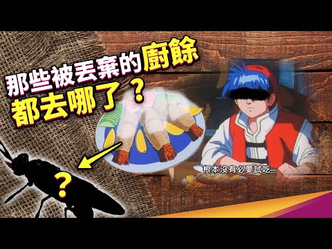 台灣每天1200噸的廚餘去哪了?廚餘養豬規模銳減,竟然要靠蟲來吃廚餘? ft.新北 i 環保