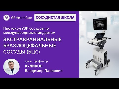 Сосудистая школа GE Healthcare. Экстракраниальные брахиоцефальные сосуды (БЦС). Сессия №1