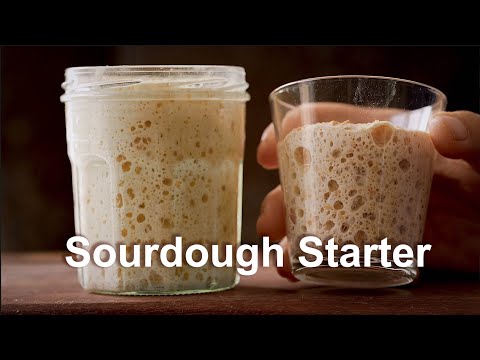 Sourdough Starter