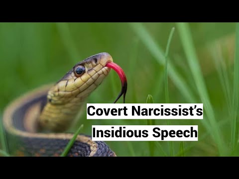 Covert Narcissist’s Insidious Speech