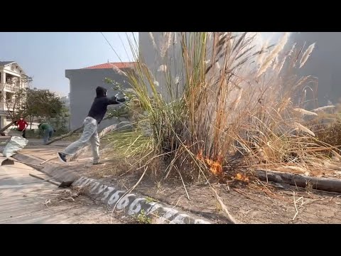 ✅ We Shocked the Neighborhood After Cleaning the Sidewalk — A Stunning Transformation Unfolded.