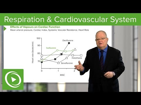 Anesthesiology: Respiration & Cardiovascular System – Anesthesiology | Lecturio