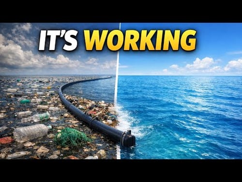 America’s Ocean Cleanup Is Producing Real Results