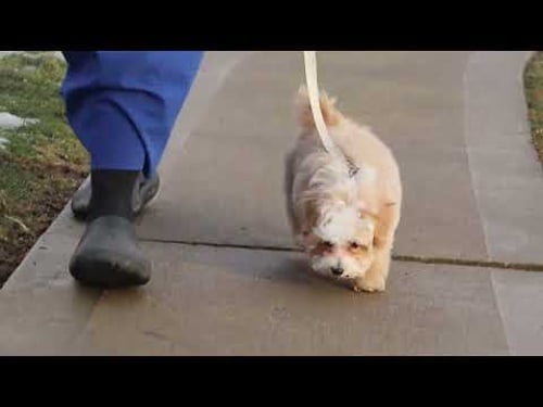 Romeo's Week 3 Training Update