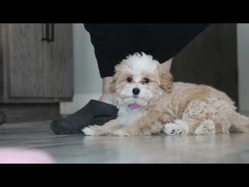 Romeo's Week 1 Training Update