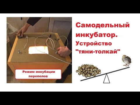 Homemade incubator: the device "pull-push". Incubation mode of quails.
