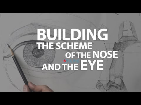 Constructive drawing, Building the scheme of the nose and eye
