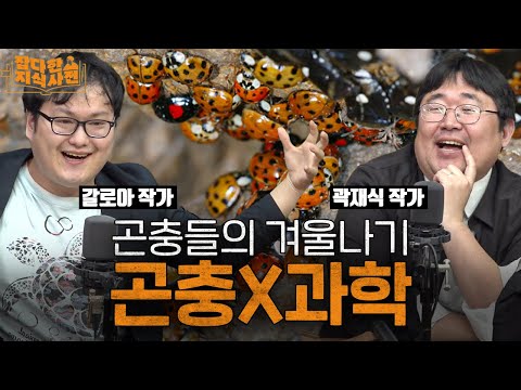 겨울에 얼어 죽는 모기와 파리들, 왜 멸종이 안 될까? | 겨울 내내 사실 숨어있다는 곤충들ㅋㅋㅋㅋ(곽재식X갈로아)