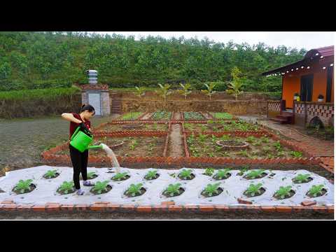 Transform a vacant plot of land into a clean, organic vegetable garden -- Dream space