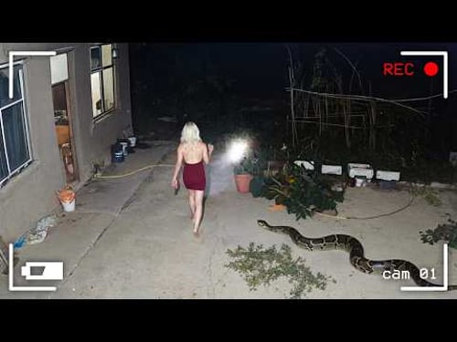 Damn Nature You Scary | Rare and Scary Animal Encounters