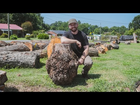 This Massive Cherry Burl Arrived at the Shop but Was It Any Good?