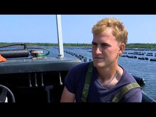 Land & Sea: Oysters under threat in the Maritimes