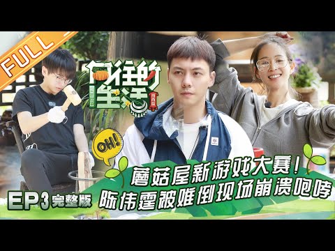 《向往的生活3》第3期 陈伟霆在线健身教学组养生局 蘑菇屋新游戏弄懵张钧甯 Back to field S3 EP3【芒果TV生活风尚频道】