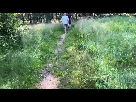 Литва 🇱🇹 Паланга. Заселение. и опять пошли на море.