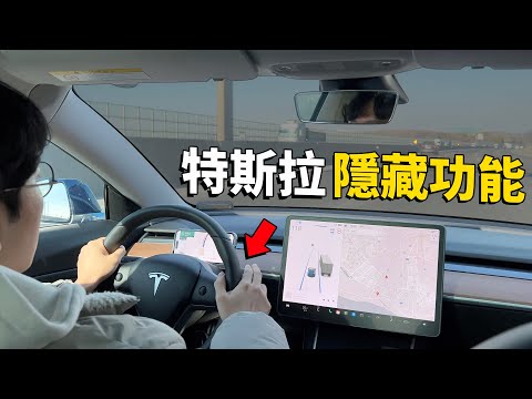特斯拉用戶一定要使用的隱藏功能 & 實用技巧!feat. Model 3/ Model Y/ VLOG|大耳朵TV
