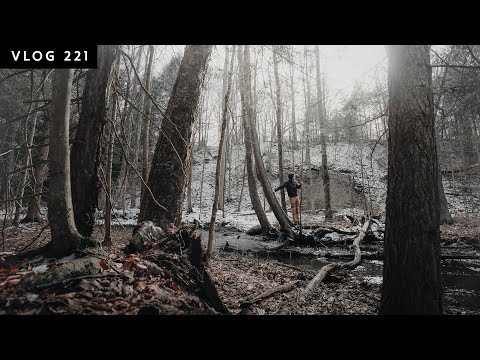 10 YEARS In The Making! LAND & LIFE UPDATE