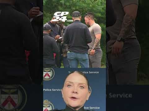 Woman dragged into wooded area at High Park and sexually assaulted