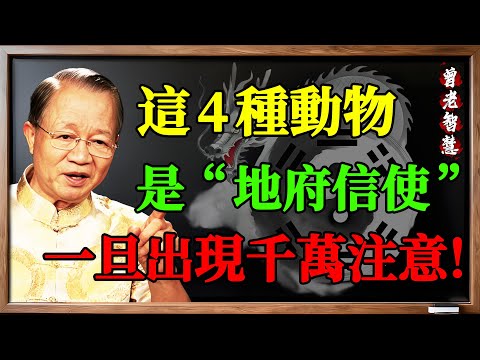 曾仕強洩露天機:這4種動物是“地府信使”,一旦出現,代表有人要走了...#曾仕強 #易經智慧 #國學 #鬼差 #靈異現象 #動物報恩 #烏鴉報喪 #黑貓通靈 #風水禁忌 #改運 #辟邪