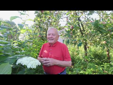 Засуха! Как бороться биологическими методами по Распопову.