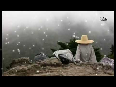 마음을 다스리는 국악명상음악