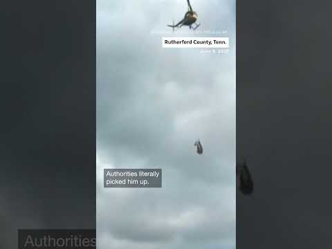 Ed, a runaway zebra, captured in Tennessee