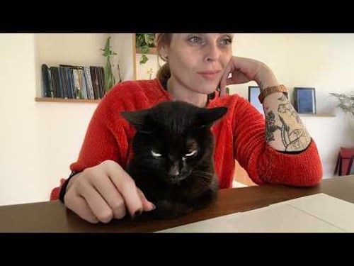 When Cats Start Giving You Attitude π Funny Cat and Human