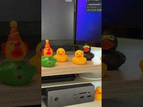 Eine Gummiente reicht nicht mehr 🐤