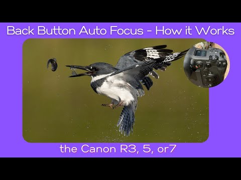Back Button Auto Focus - How it Works on Canon R7, R5 and R3