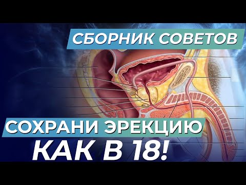 Как в зрелом возрасте СОХРАНИТЬ МОЩНУЮ ЭРЕКЦИЮ? Восстановите потенцию БЕЗ ТАБЛЕТОК всего за три дня!