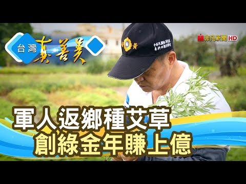 退伍軍人的“艾草傳奇”【台灣真善美】2019.07.07