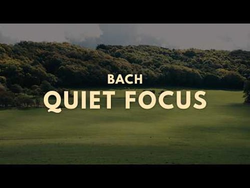 Quiet Focus · Bach Cello Suite No 1 in G Major BWV 1007