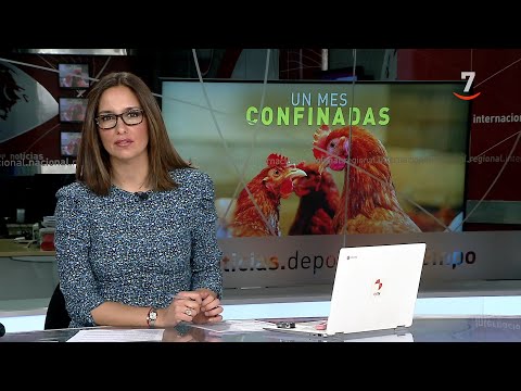CyLTV Noticias 20:00 horas (08/12/2025)