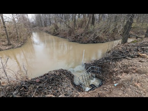Beaver Dam Removal | Unclogging 4 drains