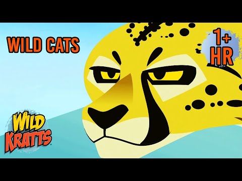 Meet the Big Cats! 🐆 Lion, Cheetah & Leopard Power | Scholastic Kids