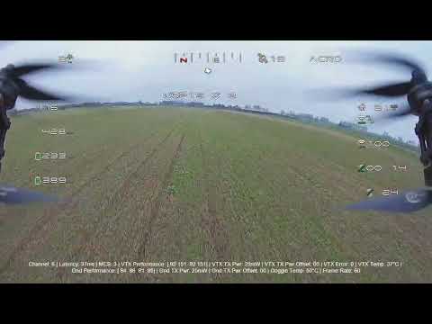 HollyBro Kopis 8 Part 8