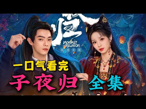 一口气看完《子夜归》全集:田曦薇许凯新剧高甜来袭!她白天是纨绔女孩,晚上却化身为猫妖!大结局好甜